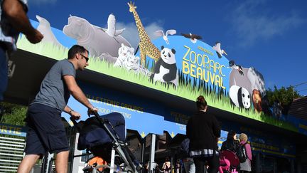 Des visiteurs arivent au zoo de Beauval à Saint-Aignan-sur-Cher (Loir-et-Cher), le 5 août 2017. (GUILLAUME SOUVANT / AFP)