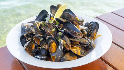 Un plat de moules. Image d'illustration. (GARDEL BERTRAND / HEMIS.FR / HEMIS.FR)