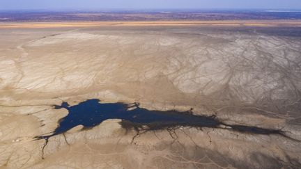 Zone asséchée dans la partie sud du delta de l'Okavango au Botswana, en septembre 2019. (MEDIADRUMIMAGES / MARTINHARVEY / MAXPPP)