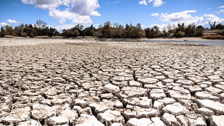 Drought hits Millas, in the Pyrénées-Orientales, on May 1, 2023. (ARNAUD LE VU / HANS LUCAS / AFP)