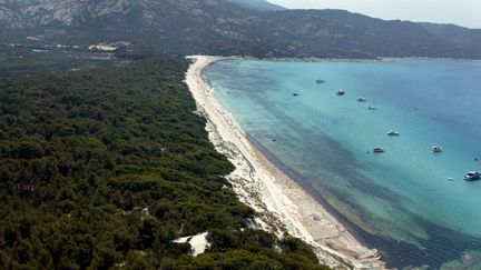 Le parc de Saleccia et sa plage, en Corse. (GERARD BALDOCCHI / MAXPPP)