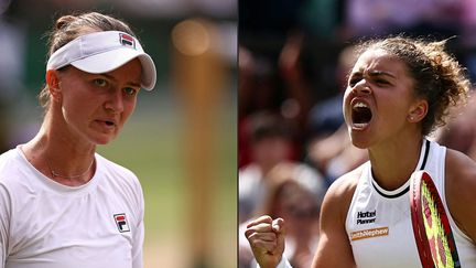 Wimbledon 2024 : un duel inédit entre Paolini et Krejcikova pour le titre... Suivez la finale femmes