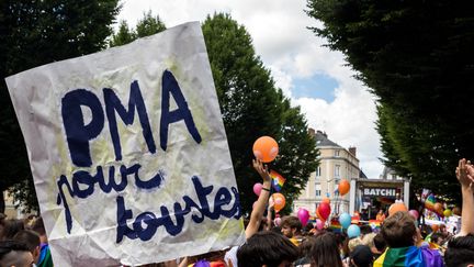 Une pancarte "PMA pour toutes", lors de la marche des fiertés à Rennes, le 8 juin 2019.&nbsp;&nbsp; (MAUD DUPUY / HANS LUCAS / AFP)