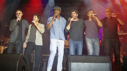 Un concert des Enfoirés à Ouveillan, dans l'Aude, le 20 juillet 2014. (GAILLARD NICOLAS / APERCU / SIPA)