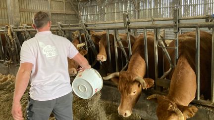 Clément Rousselot, éleveur près de Bouzillé (Maine-et-Loire), dont 25 des 210 vaches sont tombées malades. (EDOUARD MARGUIER / RADIO FRANCE)