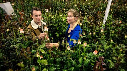 Hugo Clément dans une "usine" de production de roses aux Pays-Bas. (ISABELLE MORAND /HANSVERLEUR.CO/ RADIO FRANCE / FRANCE INFO)