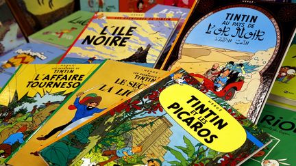 Des albums de "Tintin" sont exposés à l'exposition Hergé, au Grand Palais (Paris), le 28 septembre 2016. (MAXPPP)