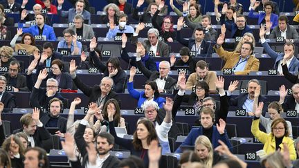 Les indemnités forfaitaires des eurodéputés sont conditionnées à un minimum de jours de présence au Parlement (photo d'illustration). (FREDERICK FLORIN / AFP)