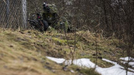 Sweden will commit 4,500 soldiers to this exercise which begins on Sunday March 3, 2024 [photo d'illustration].  (JONATHAN NACKSTRAND / AFP)