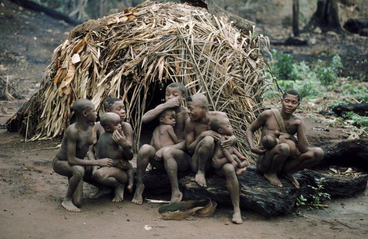 Une famille de pygmés dans la forêt tropicale en république centrafricaine. (Photo AFP/Doelan Yanni)