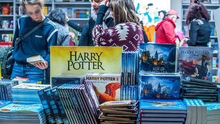 Harry Potter incontournable au Salon du Livre et de la Presse Jeunesse de Montreuil, le 28 novembre 2018 (BRUNO LEVESQUE / MAXPPP)