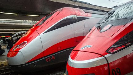 Deux trains à grande vitesse de la compagnie nationale italienne Trenitalia, avec un train&nbsp;FS ETR 500 (à gauche) et un train Frecciarossa 1000 (à droite).&nbsp; (FERNANDO GUTIERREZ-JUAREZ / DPA-ZENTRALBILD / AFP)