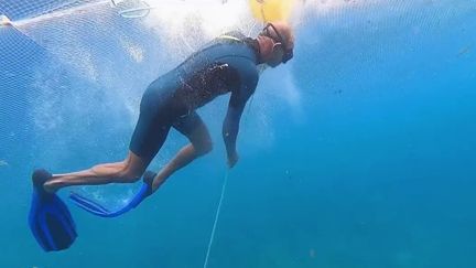 Pêcheurs de Guadeloupe : des traditions à préserver