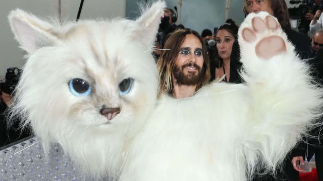 L'acteur Jared Leto est arrivé au Gala du Met à New York le 1er mai 2023 caché dans le costume de Choupette, la célèbre chatte sacrée de Birmanie du couturier, avant de se dévêtir pour dévoiler ensuite une autre tenue pour la montée des marches (MATT BARON/SHUTTERSTOCK/SIPA / SIPA)