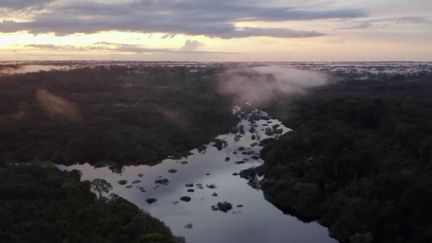 L’Amazone : l’un des plus grands écosystèmes de la planète