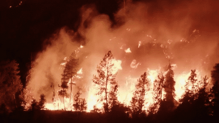 Incendies au Canada : 30 000 nouvelles évacuations