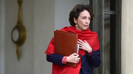 La ministre des Affaires sociales et de la Sant&eacute;, Marisol Touraine, le 27 novembre 2013 &agrave; Paris. (ERIC FEFERBERG / AFP)