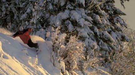 Un homme pratique du snowboard hors-piste. (Photo d'illustration) (MAXPPP)