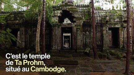 Des racines mêlées aux murs, des arbres immenses qui poussent sur des ruines ancestrales... Voici Ta Prohm, un temple exceptionnel situé sur le site d'Angkor au Cambodge.