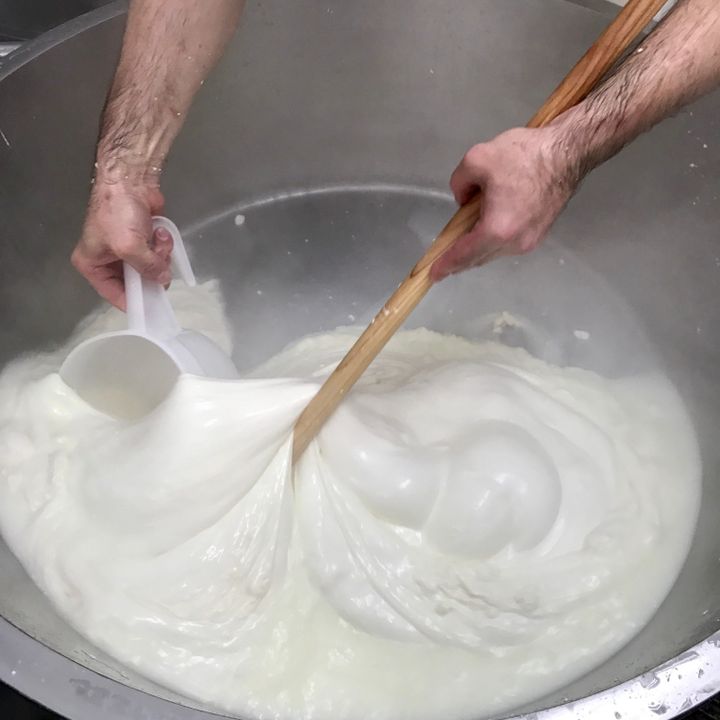 Une mozzarella artisanale dans les règles du lait de Bufflone… venant d’Auvergne&nbsp;! (Laurent Mariotte / Radio France)