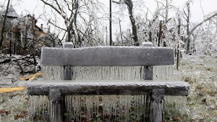 Un banc recouvert par la glace &agrave; Budapest (Hongrie), le 3 d&eacute;cembre 2014. (BERNADETT SZABO / REUTERS)