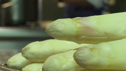 Gastronomie : l'asperge blanche, légume emblématique des Landes