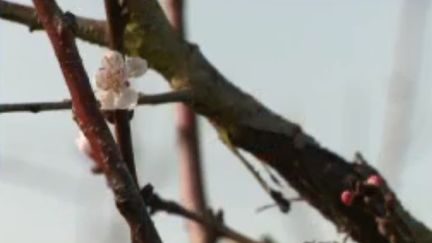 Météo : la France coupée en deux