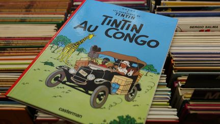 L'album "Tintin au Congo" a &eacute;t&eacute; la cible d'une op&eacute;ration du&nbsp;Groupe d'intervention contre le racisme, le 8 d&eacute;cembre 2014, &agrave; Paris.&nbsp; (  MAXPPP)