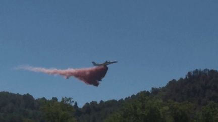 Plus de 900 personnes sont mobilisées dans les Cévennes, vendredi 8 juillet, dont de nombreux sapeurs-pompiers, pour maîtriser plusieurs incendies. Les flammes sont partiellement fixées depuis l'après-midi, mais d'autres départs de feu sont déjà annoncés dans le Gard.&nbsp; (FRANCE 2)