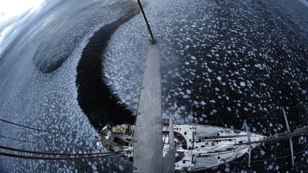 &nbsp; (FRANCOIS AURAT / TARA EXPEDITIONS)