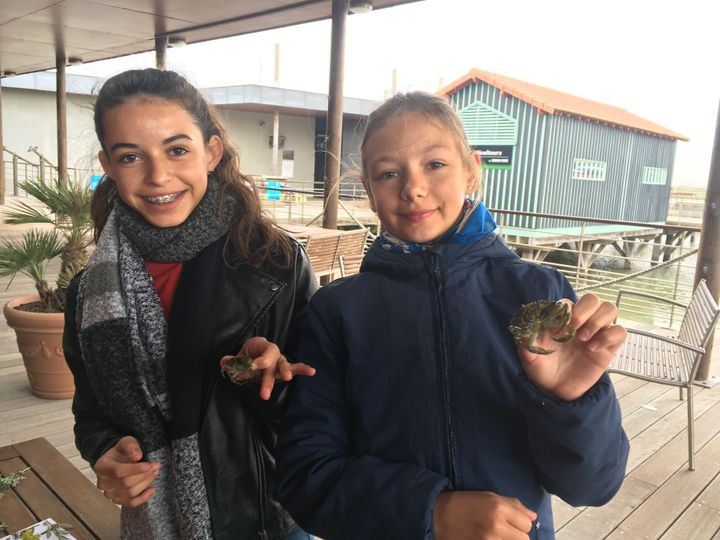 A la maison de l'huitre de l'île d'Oléron, Célia et Charlotte manipulent des crabes. (INGRID POHU / RADIO FRANCE)