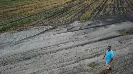 Sur la côte Est des États-Unis, en Caroline du Nord, les agriculteurs voient chaque année leurs champs se vider un peu plus de leurs plantations, à cause du sel de la mer.&nbsp; (CAPTURE ECRAN FRANCE 2)