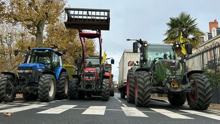 Mobilisation de la Coordination Rurale de Dordogne dans les rues de Périgueux pour la reprise du mouvement, le 19 novembre 2024. (MARC BERTRAND / RADIO FRANCE)