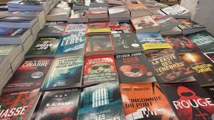 Rayon polars et thrillers de la librairie "Merle moqueur", à Paris. (Mohamed BERKANI)