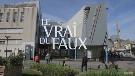 Capture d'écran de la bande annonce du documentaire "Le vrai du faux", de Sébastien Koegler et Zoé Lamazou. (CAPTURE ÉCRAN DAILYMOTION)