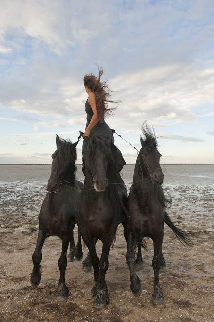 Centaure-Camargue
 (Philippe Praliaud)