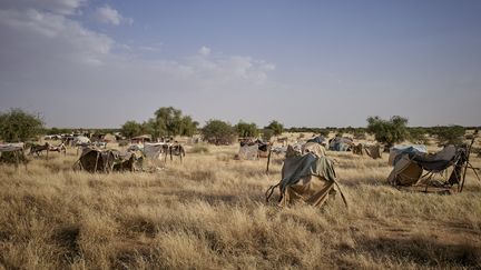 Le camp de Bagoundi, accueillant 300 réfugiés de Tessit (Mali) du fait du conflit dans la région, le 16 octobre 2020.&nbsp; (MICHELE CATTANI / UNOCHA / AFP)