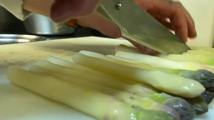 Gastronomie : la récolte des asperges a commencé