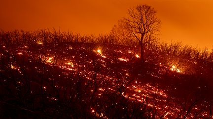 Des braises se consumment sur une colline après le passage de l'incendie du Mendocino Complex à Clearlake Oaks, le 5 août 2018.&nbsp; (NOAH BERGER / AFP)