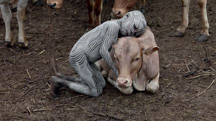 les Suri sont obligés de se déplacer à travers une région grande comme un département français. Les troupeaux étant composés de 500 à 1000 têtes, des pluies abondantes sont indispensables pour fournir assez d’herbe aux zébus. «En devenant terre pastorale, le paysage a été remodelé par l'usage qu'en ont fait les bêtes et les hommes.» (Hans Silvester )