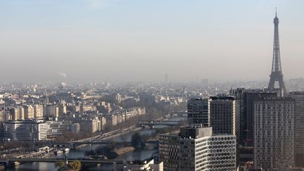 Vue a&eacute;rienne depuis le ballon d'Airparif, dans le parc Andr&eacute;-Citro&euml;n &agrave; Paris, le 26 mars 2014. (KENZO TRIBOUILLARD / AFP)