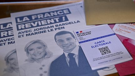 Le Rassemblement national est arrivé en tête des élections européennes du 9 juin 2024, avec 31,36% des suffrages. Photo d'illustration. (ALEXANDRE MARCHI / MAXPPP)