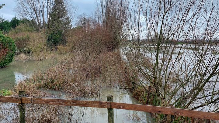 Une wateringue totalement engorgée à Tilques (Pas-de-Calais), le 5 janvier 2024, dans le marais audomarois. (FABIEN MAGNENOU / FRANCEINFO)