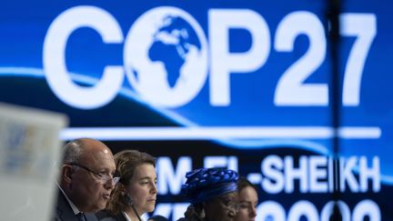 La COP27 s'est achevée imanche 20 novembre 2022 en Égypte. (CHRISTOPHE GATEAU / DPA / VIA MAXPPP)