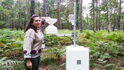 &nbsp; (Nathalie Korboulewski de l'IRSTEA en forêt d'Orléans devant son appareil de mesure © RF | Anne-Laure Barral)