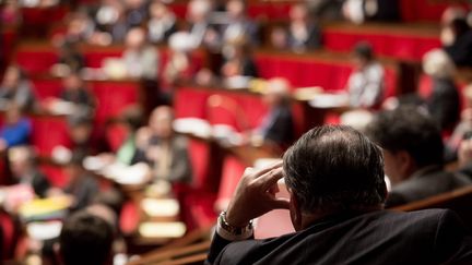 &nbsp; (Les députés ont voté mardi soir l'inscription de la déchéance de nationalité dans la Constitution © MAXPPP)