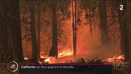 Des feux ravageant la Californie. (France 2)