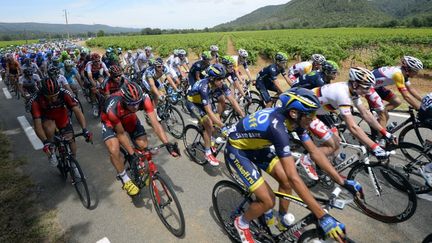 Le peloton dans la 100e &eacute;dition du Tour de France. La 5e &eacute;tape entre Cagnes-sur-mer et Marseille, le 3 juillet 2013 (DIRK WAEM / BELGA MAG)