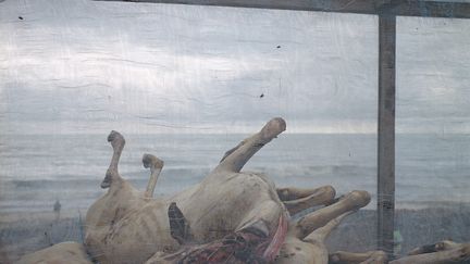 Carcasses de chèvres entreposées sur la plage de Jamestown, après avoir été égorgées (2014). (Denis Dailleux / Agence VUʼ)