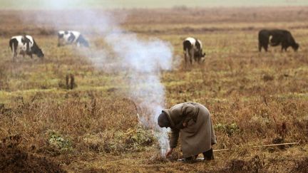 On croirait un tableau du XIXe si&egrave;cle... Il s'agit en fait d'une sc&egrave;ne de la vie quotidienne dans les campagnes bi&eacute;lorusses, le 22 novembre 2011. (VASILY FEDOSENKO / REUTERS)